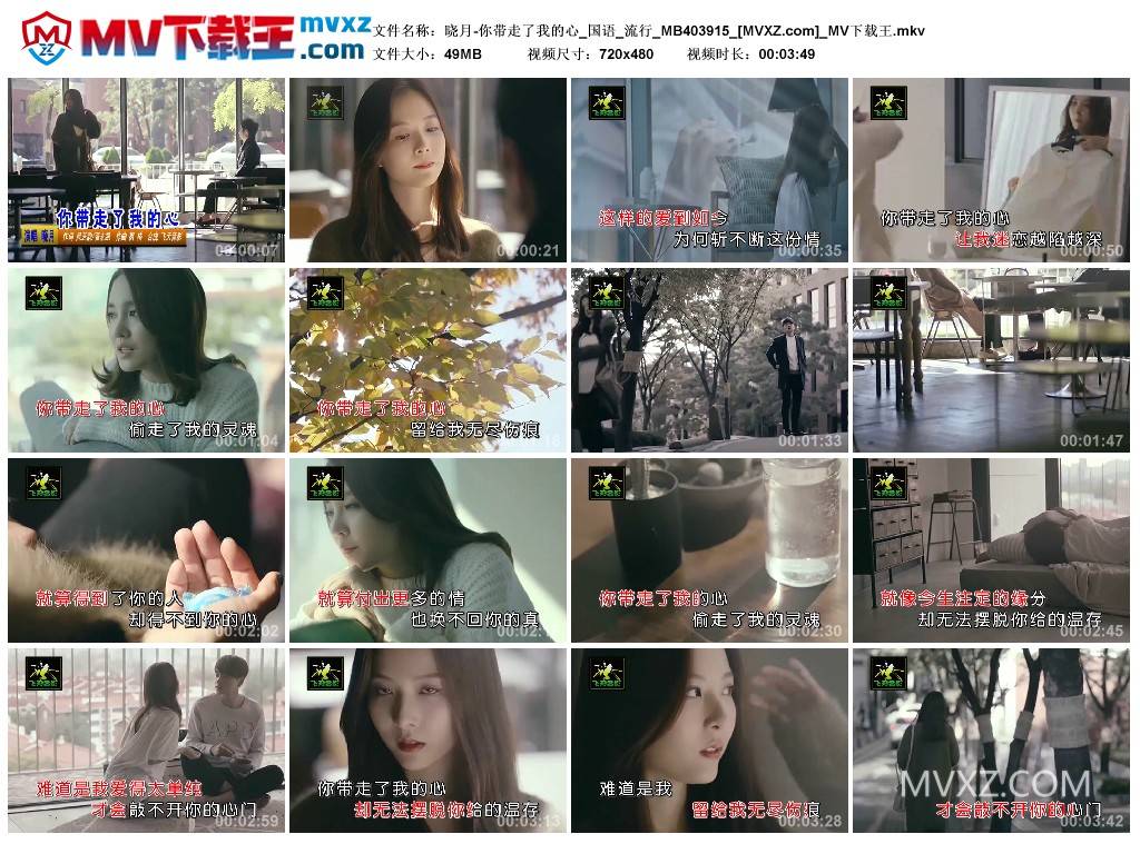 晓月-你带走了我的心_国语_流行_MB403915